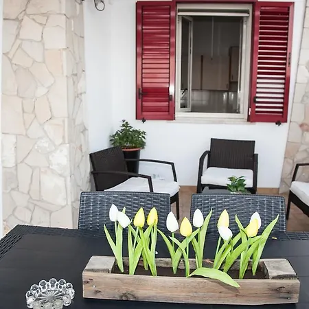 Casa Del Prof Hébergement de vacances *