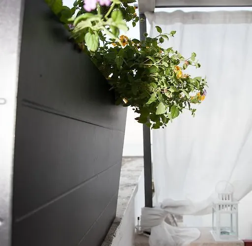 Casa Del Prof Hébergement de vacances